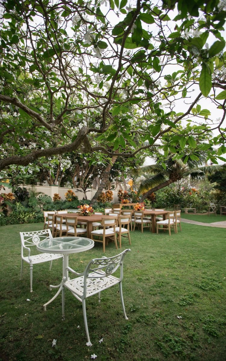 Long garden table set for a gathering beneath a flowering plumeria tree